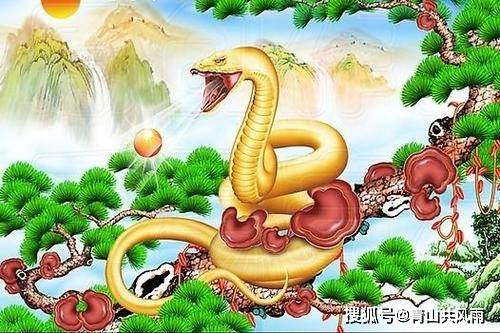 梦境迷雾，解读墓中虎蛇游的深层寓意
