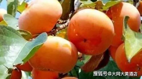 饮食|这4种水果,对我们的身体有什么危害呢!