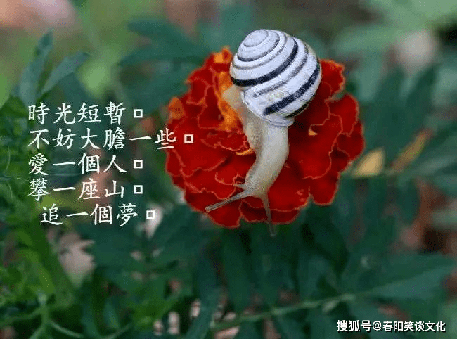 让自己心情好的词语 2690ab717a42422ca43f1cec5c7c2c8c.png