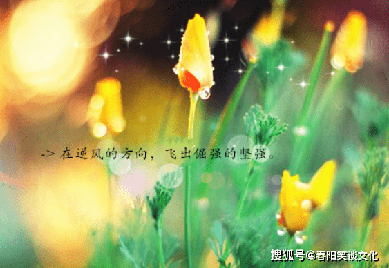 456c27bd5bad4036a17826c202afa2ca.png