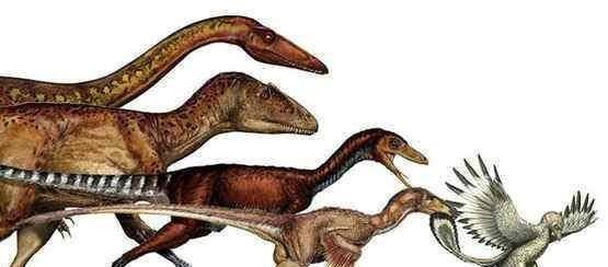 鸟类的祖先是恐龙,恐龙的祖先是什么 原来是种这么大点儿的动物