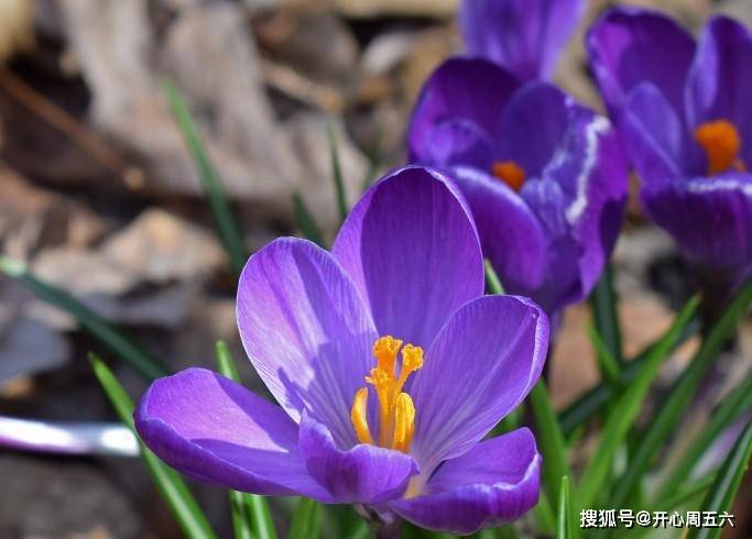 9月12 16日星座运势 白羊座心甘情愿 摩羯座脚踏实地 感情