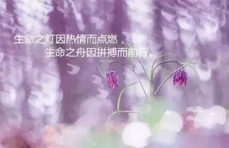 8eed6c75aaf049abb91b16a946a4d9bb.png