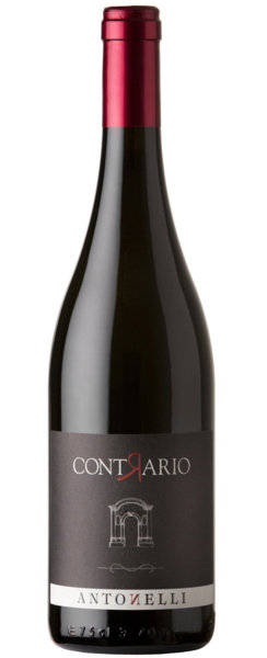 活动|【参与业内共赏】20210805线下活动:“寻找真实之翁布里亚”