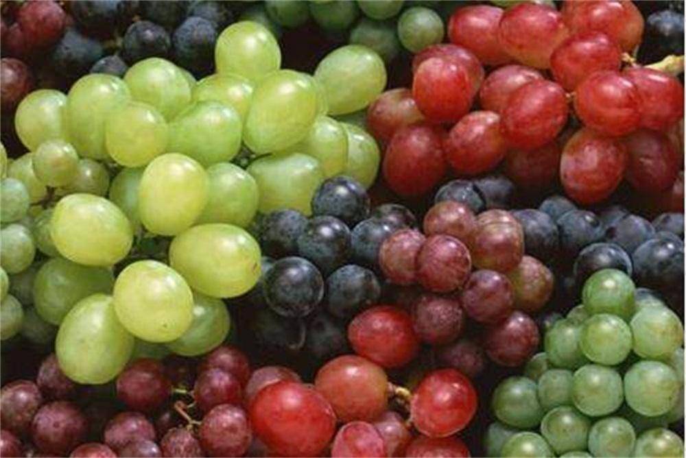 果肉|酒知识:你知道酿制葡萄酒的几个误区吗?