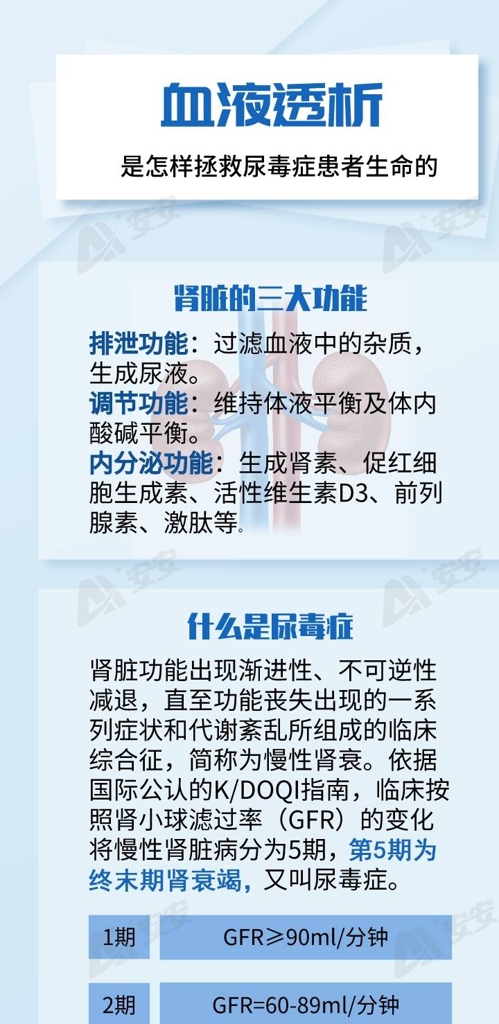 进行|关爱你的肾！看到血液透析你还敢乱来吗？