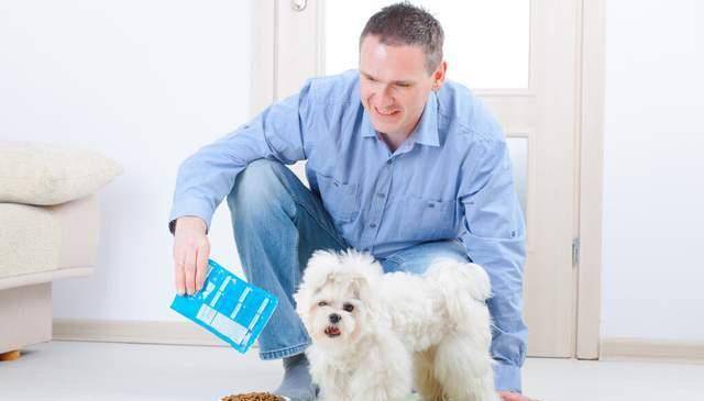 软食|不想给狗狗刷牙?养狗减少口腔疾病的几个办法分享!