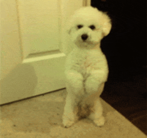 319236a6ce53458c9e977622943cc20b.gif