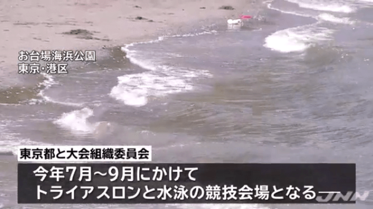 恶臭东京湾 在粪汤中竞技 奥运会选手集体呕吐 或与水质有关吗 比赛