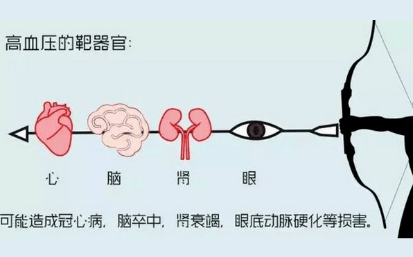 什么|高血压喝红酒会有什么后果?
