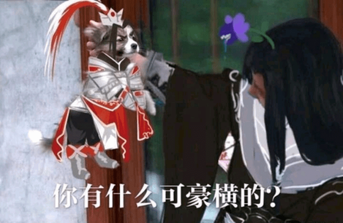 剑网三:天策玩家试玩奶花引围观,直言:花间不努力就要变奶花_万花