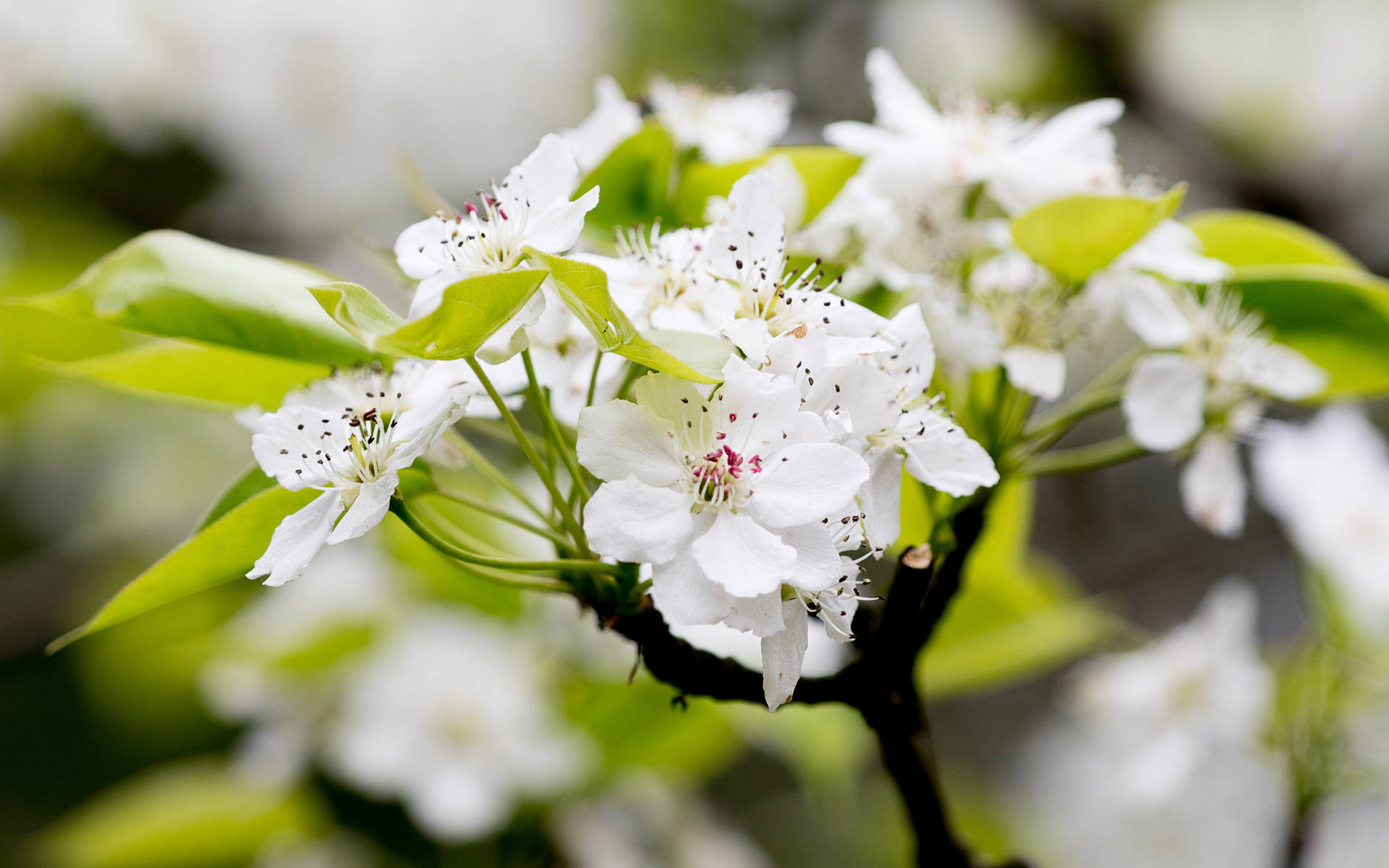 3个生肖女结婚越久越招财 旺夫更旺孩子 吃苦