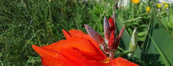 8月3日 9日星座运势 白羊充满斗志 天蝎目光长远 摩羯突破瓶颈 未来