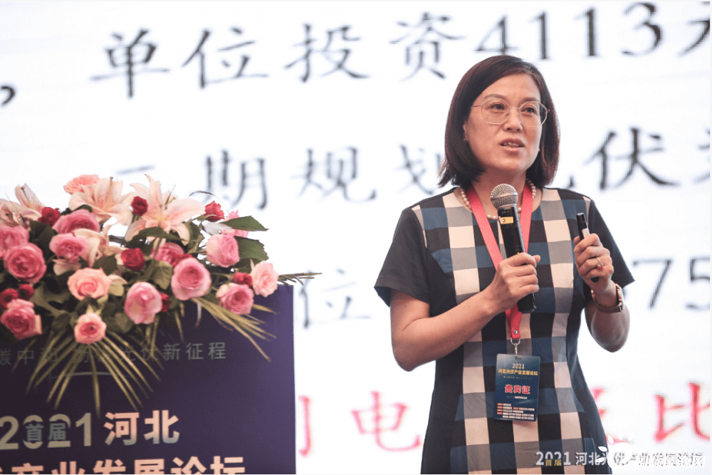 建设要点及多场景应用分析河北能源工程设计有限公司副总经理董晓青