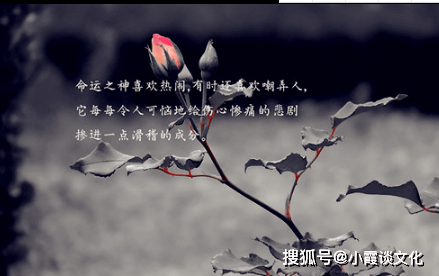 3b64df16849a4bb19bf998a0e4ae8392.png