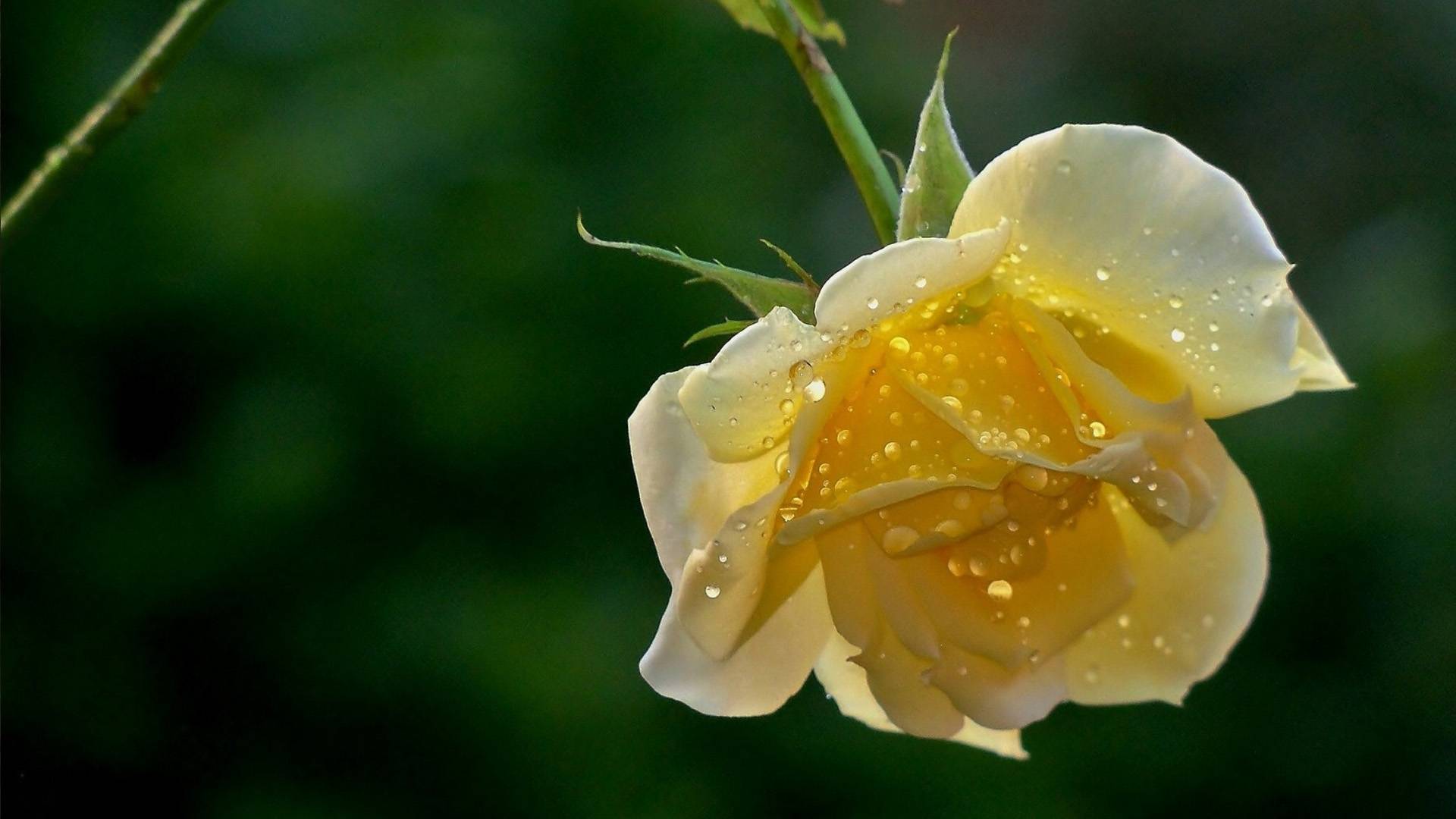 7月30日星座运势 巨蟹突破瓶颈 天蝎头脑清醒 勇往直前 工作