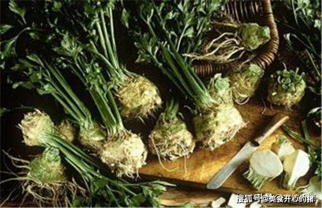 芹菜怎么种出苗好 5b774d80c1034442af15cae3777742d6.jpeg