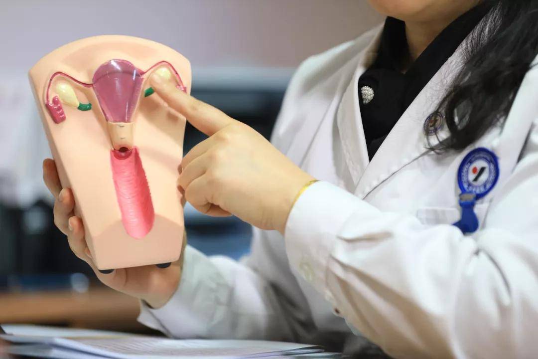 amh水平能够预测卵巢反应性,识别有卵巢过度刺激综合征风险的女性,可