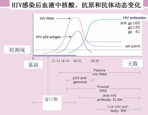 试纸|艾滋病窗口期会传播HIV吗？
