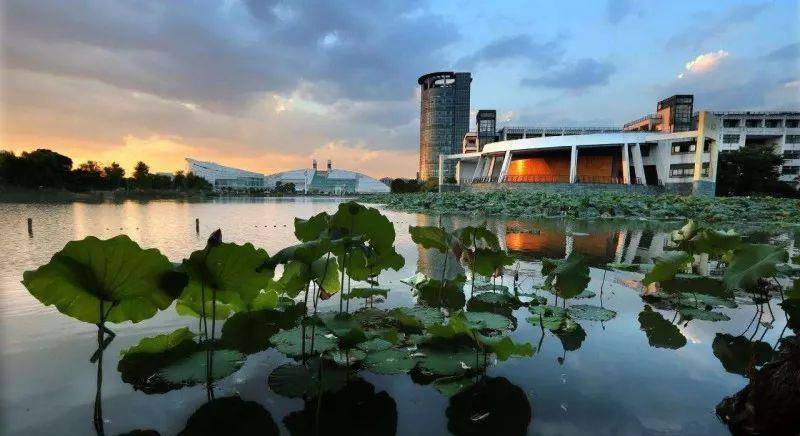 工科大学排行_我国大学工科实力排名前十:各有强势专业,浙大工科综合实力第2