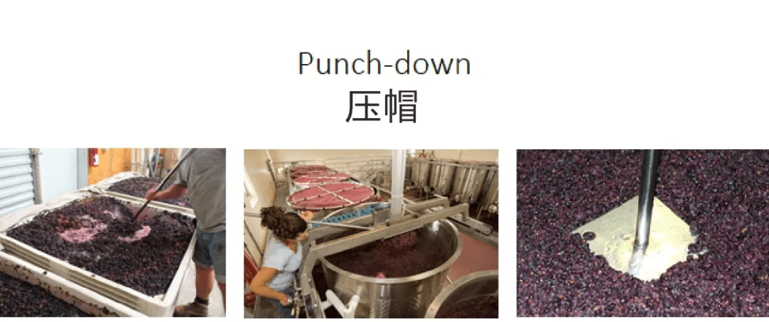 知识科普|别卡速:格鲁吉亚葡萄酒品酒师课程(四)