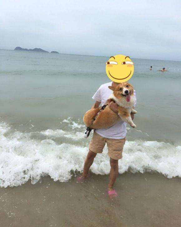 带着|网友带着基到海边玩，把它给高兴坏了，把眼睛笑成一条缝了