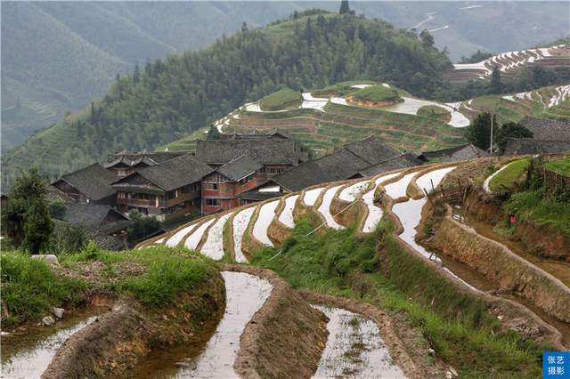 广西有座650年古梯田，为中国最美梯田之一，堪称世界梯田的冠军