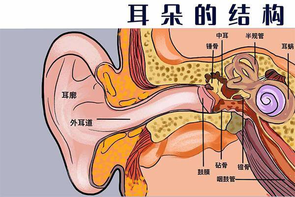 惠耳听力助听器垫江验配服务中心:中耳炎科普文——认识中耳炎