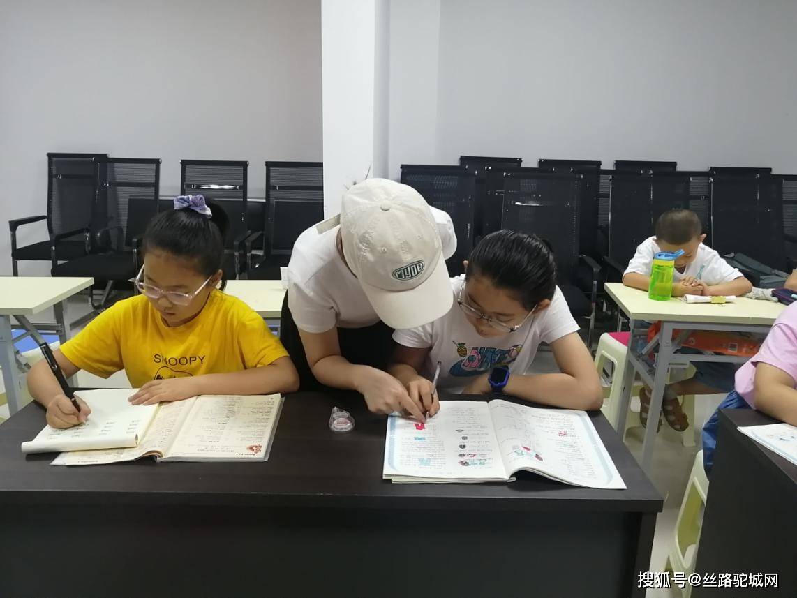 暑假作业辅导班 591e0769124d45478fb6ad92f42d4870.jpeg
