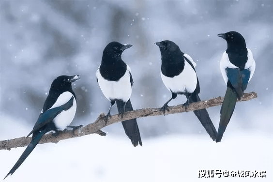 89a1c52a1e0d48eea924cf531d515c9b.png