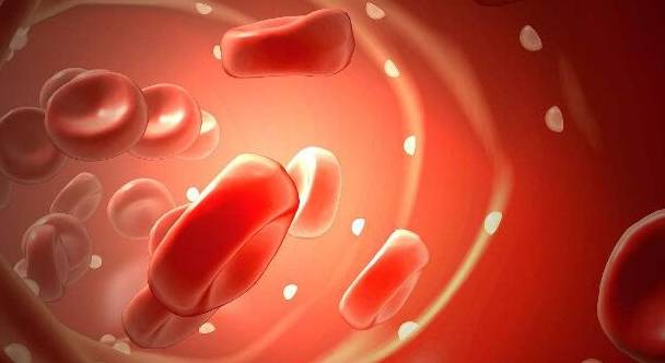 肾脏|肾病医生：蛋白、肌酐频繁复发，你知道是为什么吗？