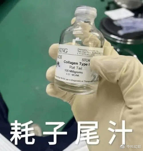 具體畫法請參考我們上一篇文案一步到位搞定figure圖中的各種小鼠模型