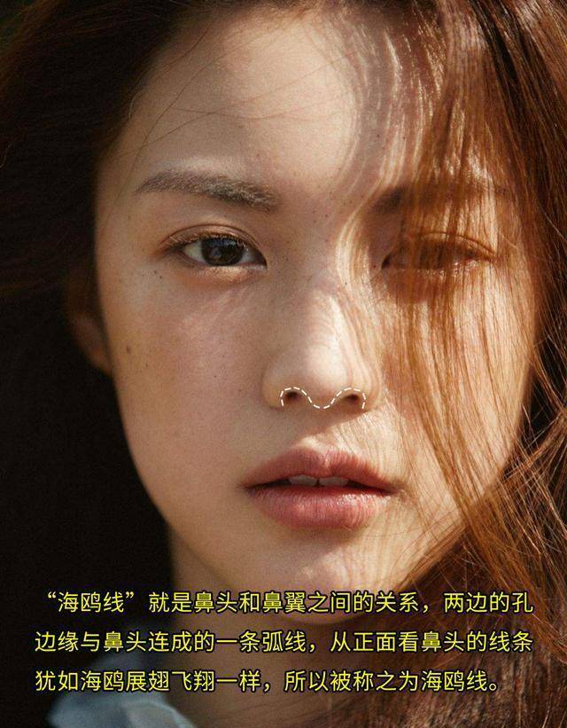 挺翘|为什么韩佳人小翘鼻被整形模板淘汰了？她凭什么成为新美鼻模板？