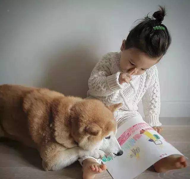 剑桥大学研究报告显示:狗狗和孩子之间的良好关系是与生俱来的! 剑桥大学研究报告显示:狗狗和孩子之间的良好关系是与生俱来的!