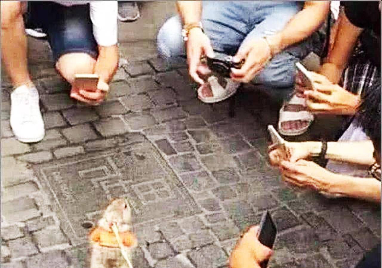 男子肚子痛，将土拨鼠拴在厕所旁，出来一看，直接抱着土拨鼠就跑 