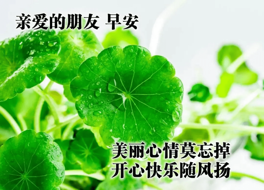 原創朋友圈早安說說圖片問候朋友最新一句話早安心語經典句子及圖片