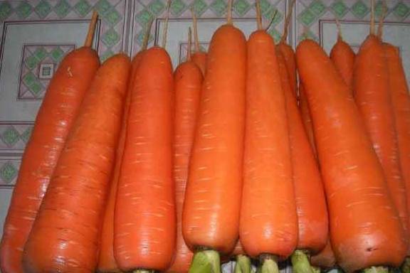 胡萝卜|糖尿病，多吃这3种食物，稳定血糖，预防三高！