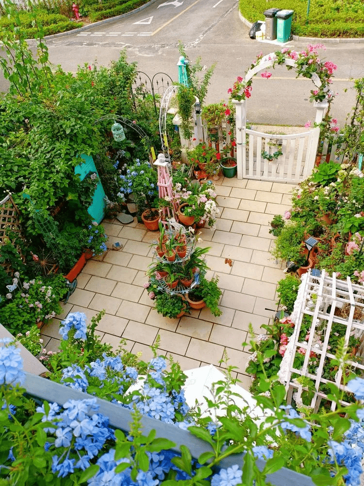 改造别墅小院全过程 a9c9b852bba3457ea09202bfb858372f.png