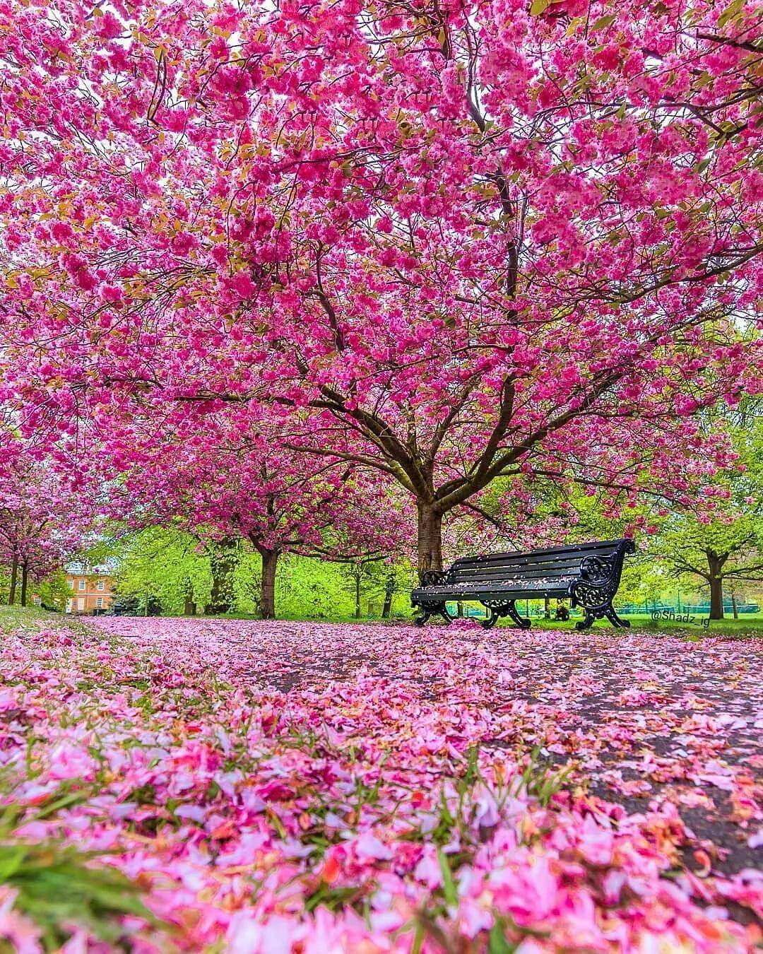 花花世界美若仙境