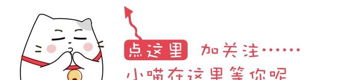 错事|主人掀被子叫儿子起床，二哈又把被子盖上，更过分的还在后头……