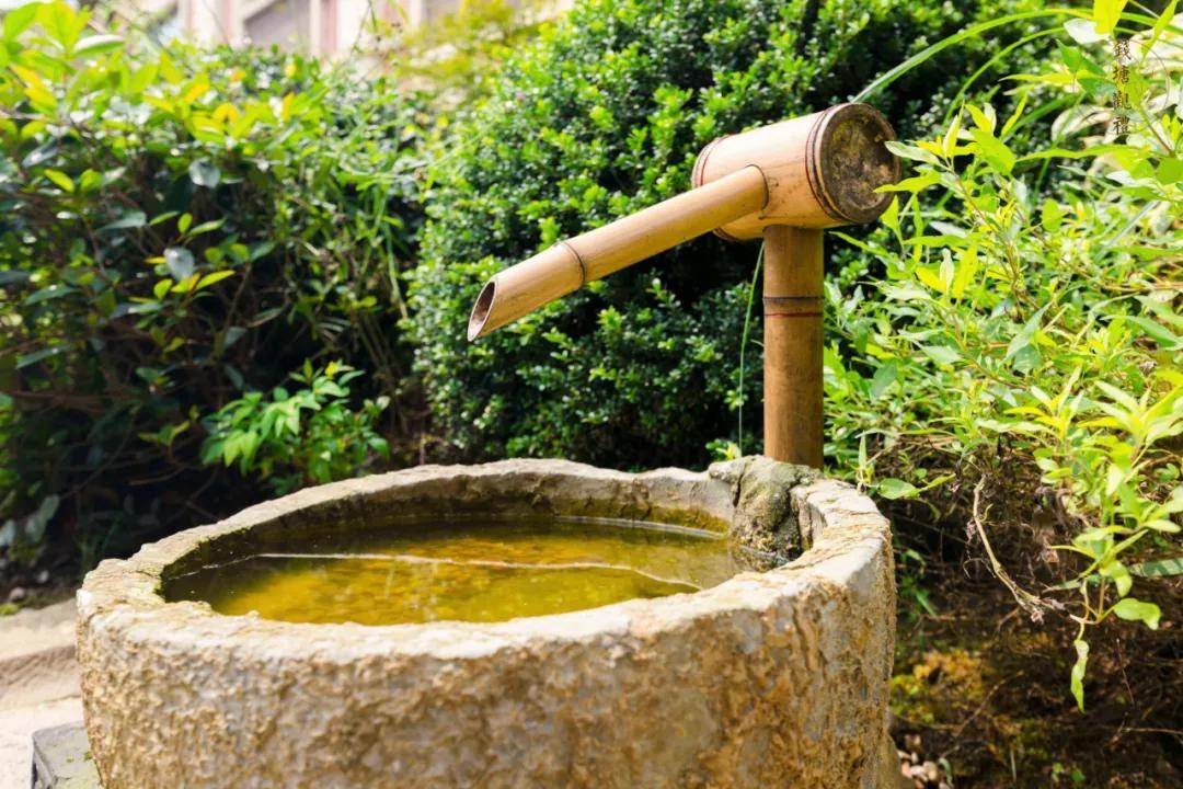 "|?“不可惜费,只贵工成"——净莲满堂如何打造有中国根脉的文化IP