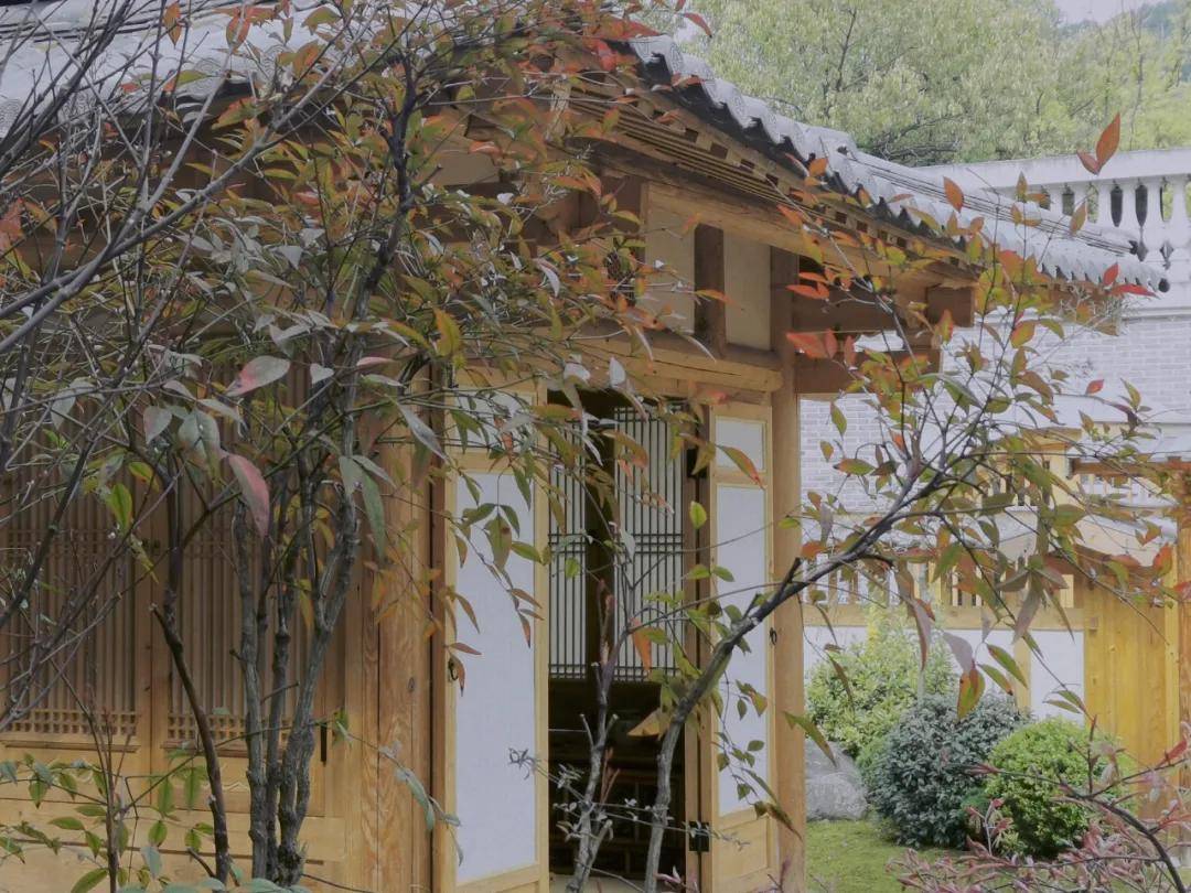 "|?“不可惜费,只贵工成"——净莲满堂如何打造有中国根脉的文化IP