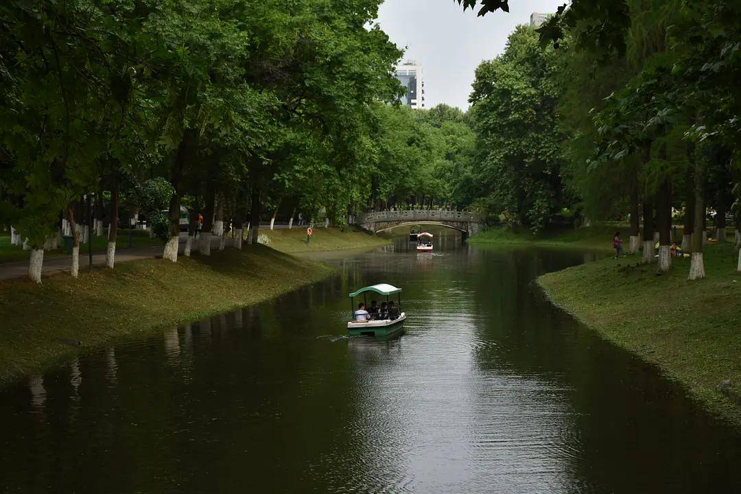 幼儿园|绿就一个字，可是已经把全世界都融化了（一个幼儿园教师的快乐暑假）