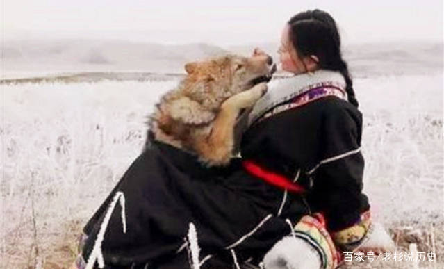 2010年,那个把狼当 儿子 养的女孩,10年后重逢却不敢相认