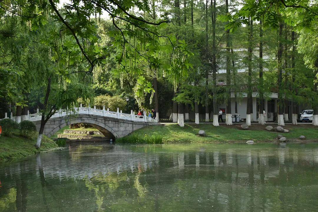 幼儿园|绿就一个字，可是已经把全世界都融化了（一个幼儿园教师的快乐暑假）