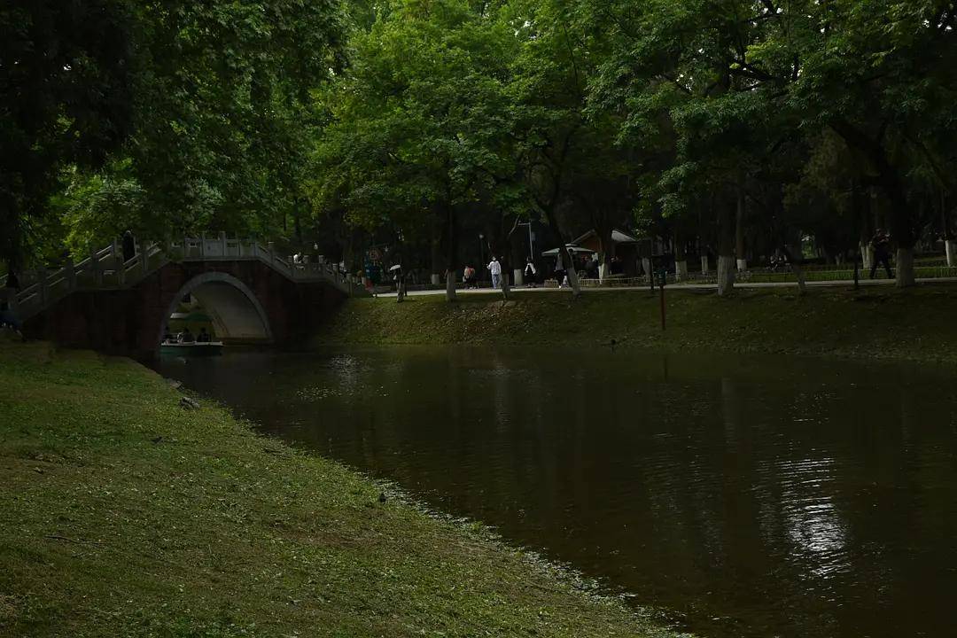 幼儿园|绿就一个字，可是已经把全世界都融化了（一个幼儿园教师的快乐暑假）