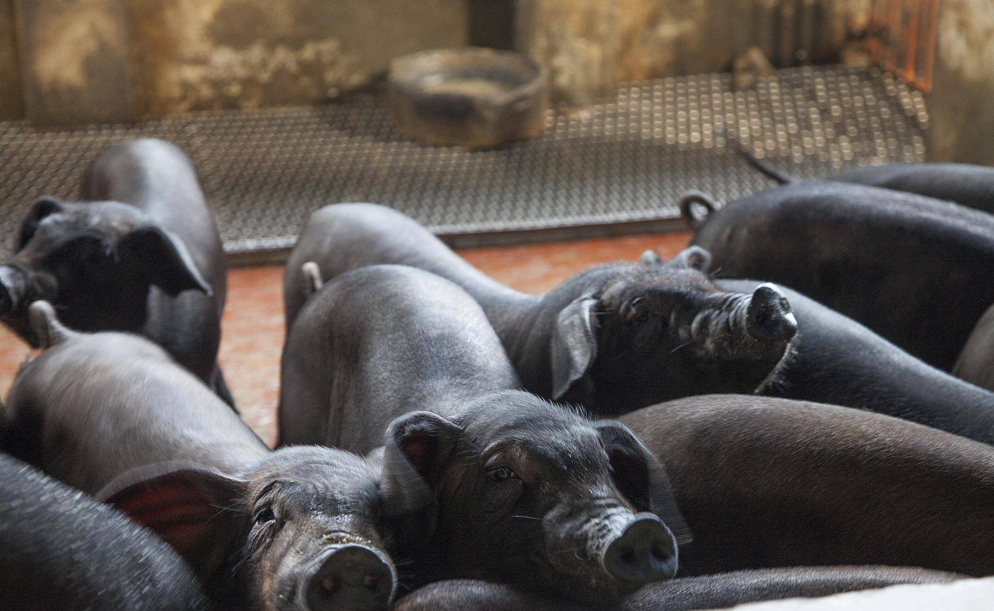 点餐软件排行_最好用的扫码点餐软件软件排名榜