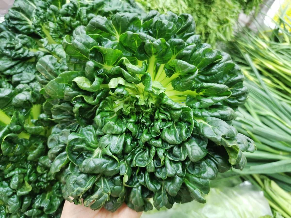 原创这样做出来的塔菜味道鲜美,营养好吃,家人都喜欢