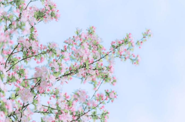 c883301bd3884b42a2c3925cab9c5ee4.png