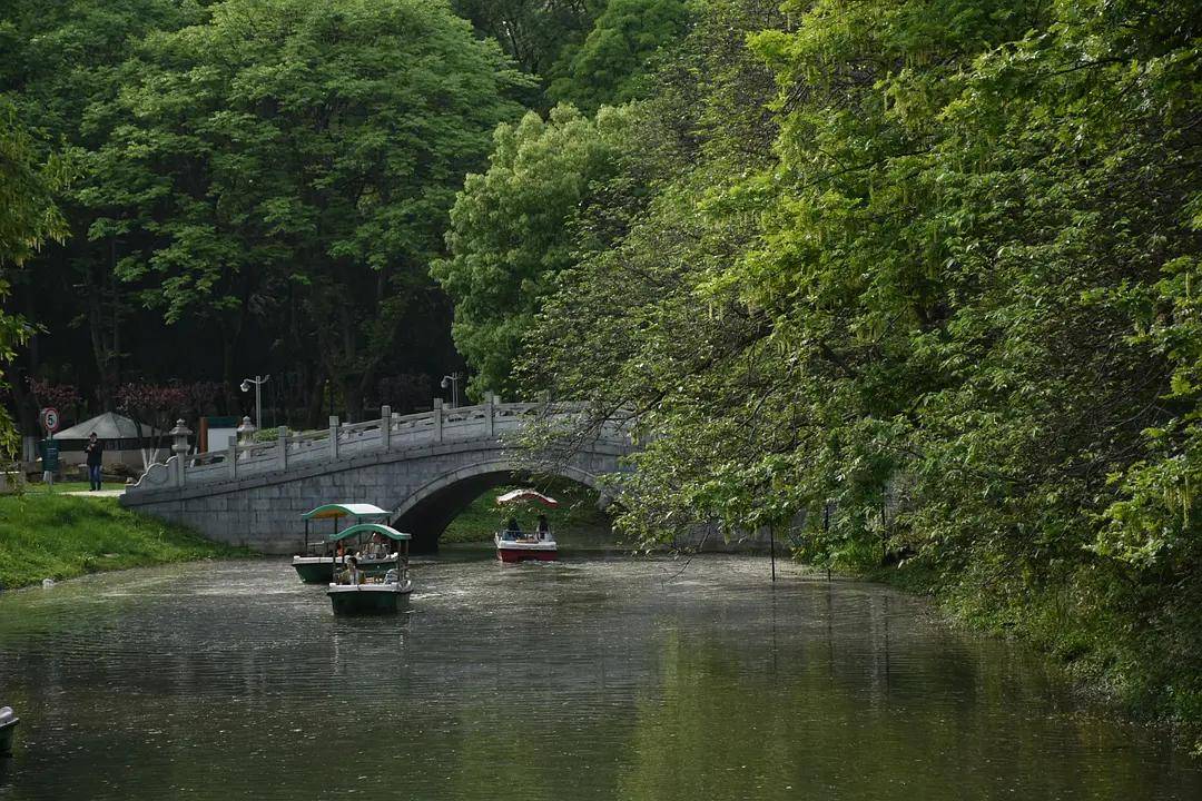 幼儿园|绿就一个字，可是已经把全世界都融化了（一个幼儿园教师的快乐暑假）